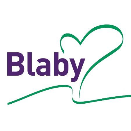 blaby council