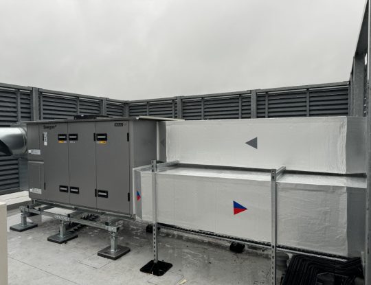 image-1 (1)